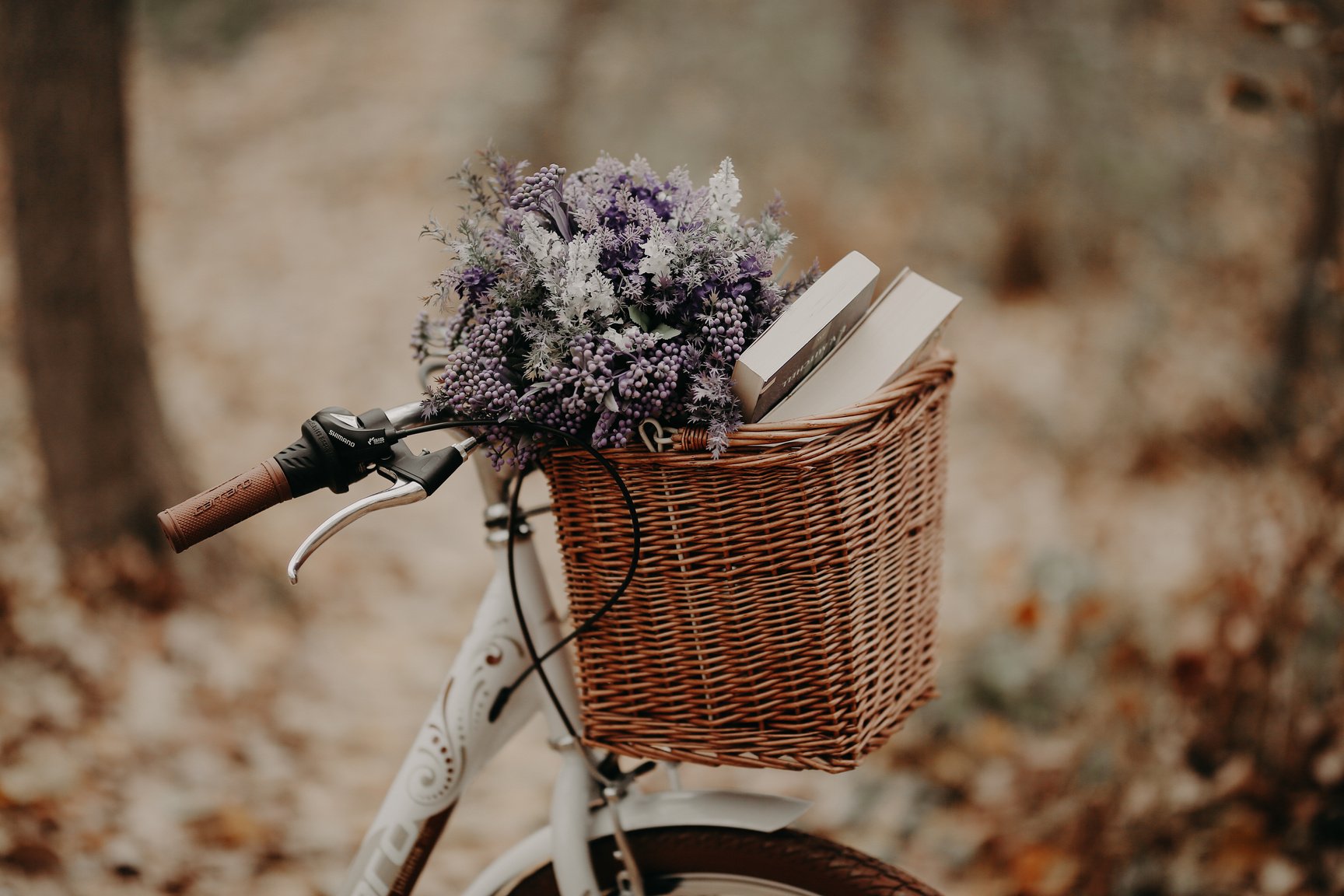 Books and Flowers in the Basket Bike